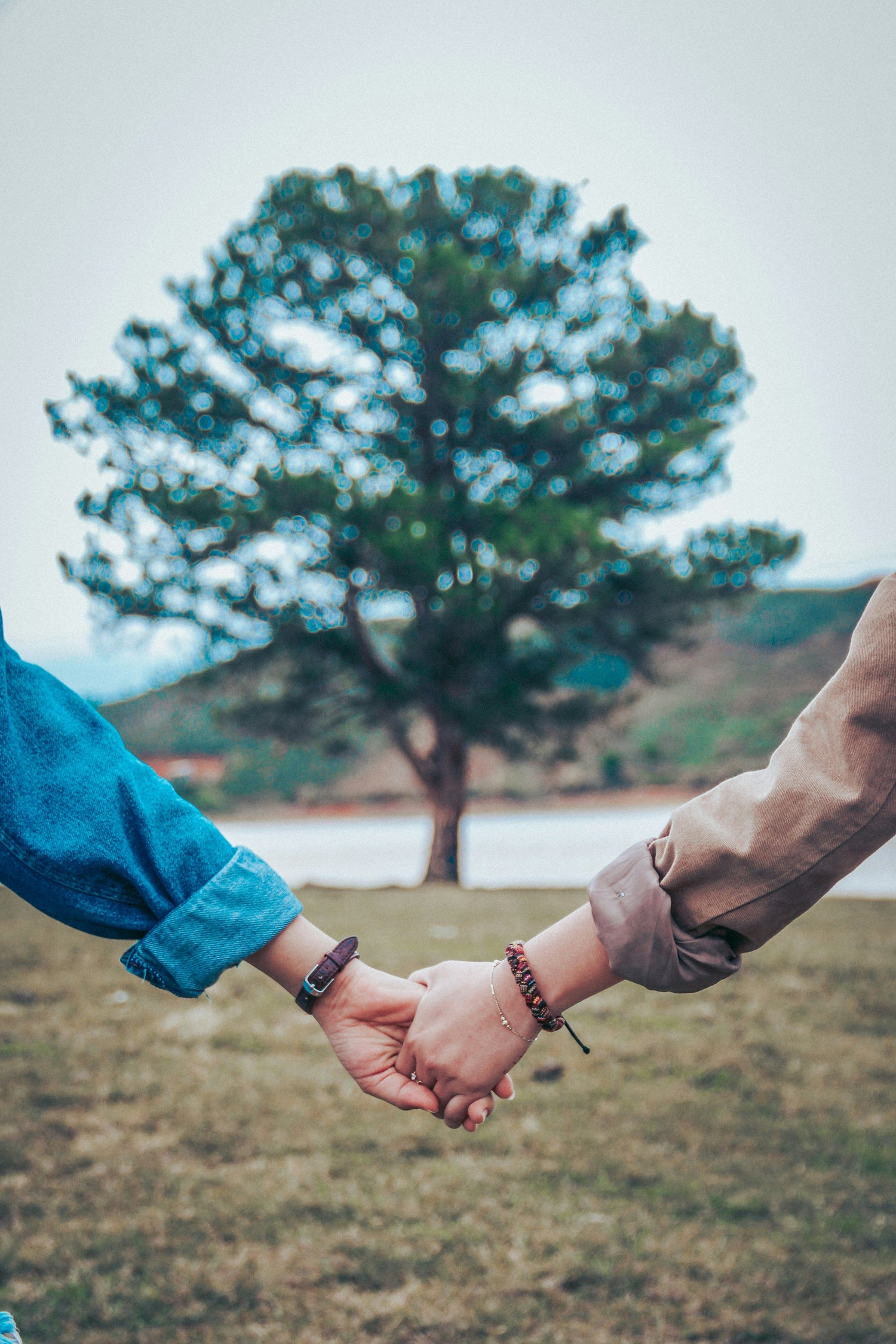 Relationships